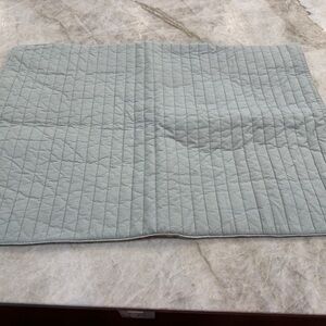 Restoration Hardware Quilted light green standard sham